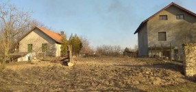Zorka