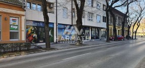 Zmaj Jovina