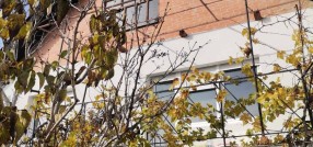 Željezničko Naselje