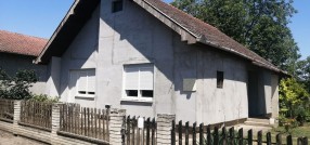 Novi Žednik