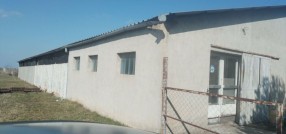 Gornji Verušić 103