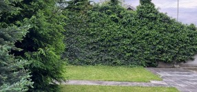 Dunavska 2