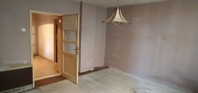 Radijalac