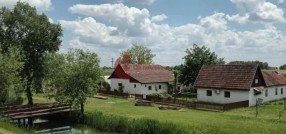 Palić