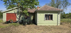 Palić