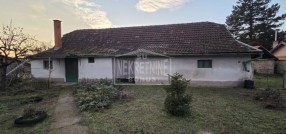 Palić