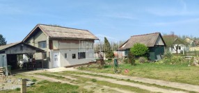 Palić