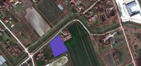 Palić