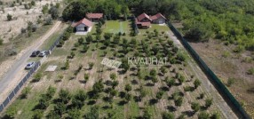Kelebija