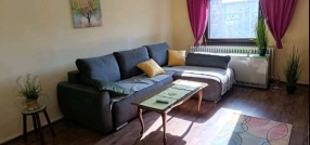 Dušana Petrovića 8