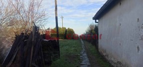 Palić
