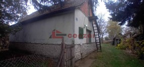 Palić