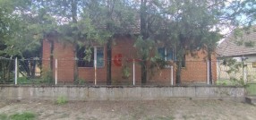 Zorka