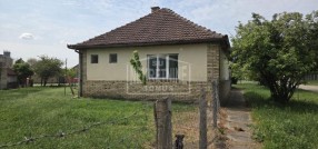 Novi Žednik