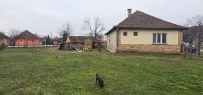 Novi Žednik