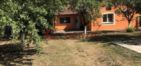 Palić