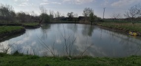 Palić