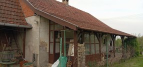 Stari Žednik