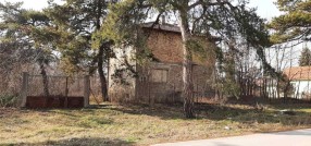 Palić