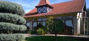 Palić