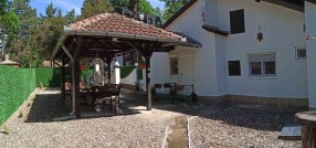 Palić