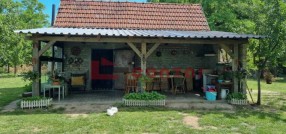 Radanovac