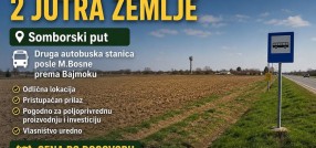 Subotička Ulica