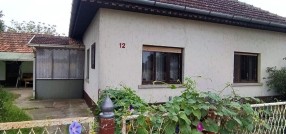 Bački Vinogradi