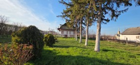 Gornji Tavankut