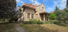 Palić