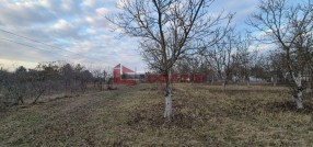 Palić
