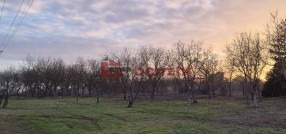 Palić