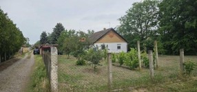 Palić