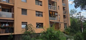 Arsenija Čarnojevića