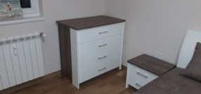 Šandora Petefia 3