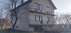 Novi Žednik