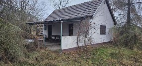 Muškatla