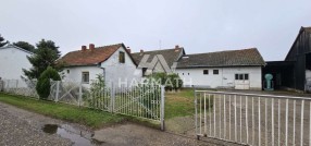 Senćanski put, Subotica