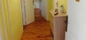 Radijalac