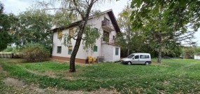 Gornji Tavankut
