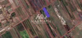 Bački vinograd salaši