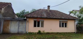 Zorka