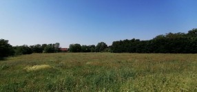 Željezničko Naselje