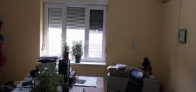 Boška Vujića 5