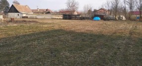 Srpski Šor