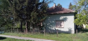 Palić