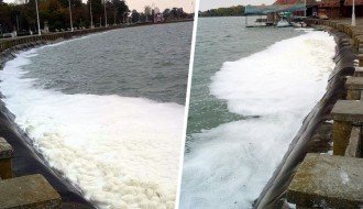 Pena uz obalu Palićkog jezera