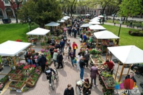 "Procvetao" mali trg