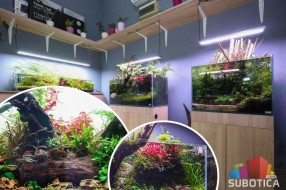 "Aquascape" donosi prirodu u vaš prostor