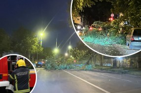 Snažno nevreme protutnjalo Suboticom, hitne službe imaju pune ruke posla